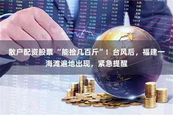 散户配资股票 “能捡几百斤”！台风后，福建一海滩遍地出现，紧急提醒