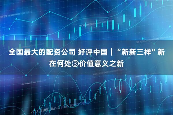 全国最大的配资公司 好评中国｜“新新三样”新在何处③价值意义之新