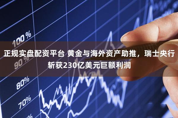 正规实盘配资平台 黄金与海外资产助推，瑞士央行斩获230亿美元巨额利润